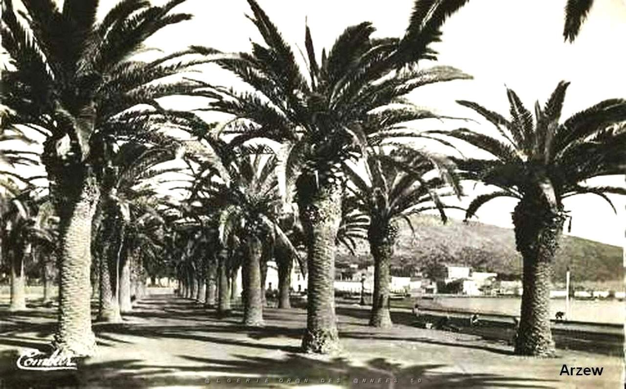 Arzew 269.jpg